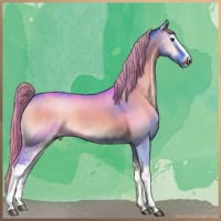 Horse Color:Painted Watercolor White Spotted Chocolate Palomino Onyx 