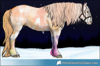 Horse Color:Watercolor White Spotted Liver Red Dun Mushroom Sabino Brindle