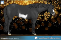 Horse Color:Black Frame 