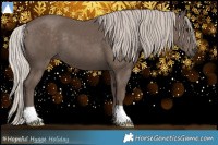 Horse Color:Silver Black 