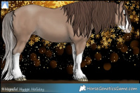 Horse Color:Classic Champagne Splash 