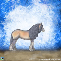 Horse Color:Watercolor Blue Onyx 