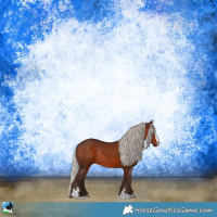 Horse Color:Silver Brown Sabino Rabicano 