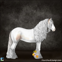 Horse Color:Silver Classic Champagne Pearl Onyx Splash Tobiano 