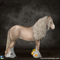 Horse Color:Liver Chestnut Pearl Sabino Rabicano