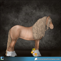Horse Color:Liver Chestnut Pearl Rabicano 