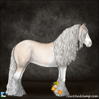 Horse Color:Silver Classic Champagne Pearl Sabino Splash 