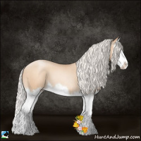 Horse Color:Silver Sable Champagne Pearl Splash 