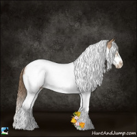 Horse Color:Black Pearl Splash Tobiano Frame Rabicano 