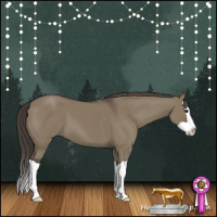 Horse Color:Smoky Grullo Splash