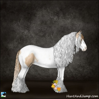 Horse Color:Chestnut Ice Pearl Splash Tobiano