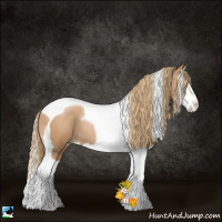Horse Color:Chestnut Pearl Splash Tobiano 