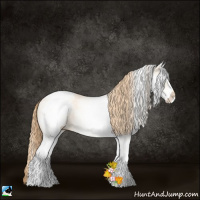 Horse Color:White Spotted Gold Champagne Pearl Dun Appaloosa Rabicano 