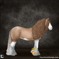Horse Color:Liver Chestnut Pearl Splash