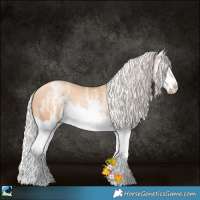 Horse Color:White Spotted Silver Classic Champagne Pearl Splash 