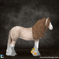 Horse Color:Liver Chestnut Ice Pearl Splash