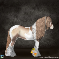 Horse Color:Liver Red Onyx Pearl Tobiano
