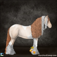 Horse Color:Classic Champagne Roan Pearl Tobiano Rabicano