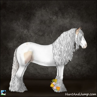 Horse Color:Silver Buckskin Pearl Onyx Splash Tobiano Rabicano 