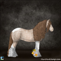 Horse Color:Liver Chestnut Ice Pearl Tobiano 