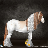 Horse Color:White Spotted Classic Champagne Pearl Splash Tobiano Rabicano