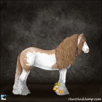 Horse Color:Chestnut Pearl Splash Frame