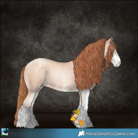 Horse Color:White Spotted Sable Champagne Pearl Rabicano 