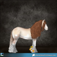 Horse Color:Red Dun Pearl Onyx Splash Frame