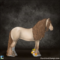 Horse Color:Liver Red Dun Pearl 