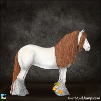 Horse Color:Sable Champagne Ice Pearl Onyx Frame 