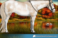 Horse Color:White Spotted Chocolate Palomino Pearl Dun Rabicano Brindle