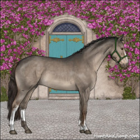 Horse Color:White Spotted Liver Red Dun Roan 