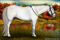 Horse Color:Chocolate Palomino Roan Pearl Dun Mushroom Sabino Rabicano Brindle 
