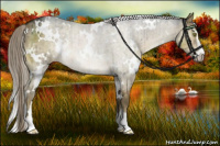 Horse Color:White Spotted Chocolate Palomino Dun Mushroom Sabino Rabicano Brindle 