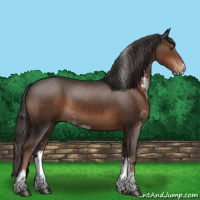 Horse Color:Liver Chestnut Sabino