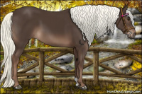Horse Color:Liver Chestnut Mushroom 