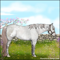 Horse Color:Platinum White Spotted Liver Red Dun 