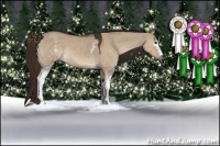 Horse Color:White Spotted Liver Red Dun 