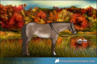 Horse Color:Liver Red Dun 