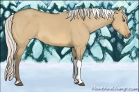 Horse Color:Silver Buckskin Dun Tobiano 