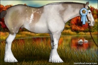 Horse Color:White Spotted Liver Red Dun Sabino Rabicano Brindle