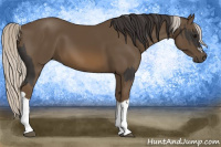 Horse Color:Smoky Black  and Silver Smoky Black 