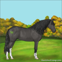 Horse Color:Black 