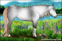 Horse Color:Gray Chocolate Palomino Tobiano 