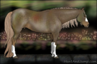 Horse Color:Chocolate Palomino 