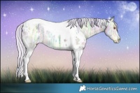 Horse Color:Watercolor White Spotted Silver Grullo Chinchilla Ice Tobiano Brindle