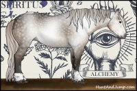 Horse Color:Gray Silver Brown Dun Tobiano