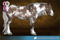 Horse Color:White Spotted Silver Brown Dun Mushroom Sabino Brindle