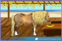 Horse Color:Painted Silver Brown Dun Mushroom Sabino Tobiano