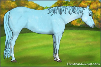 Horse Color:Watercolor Black Sabino 